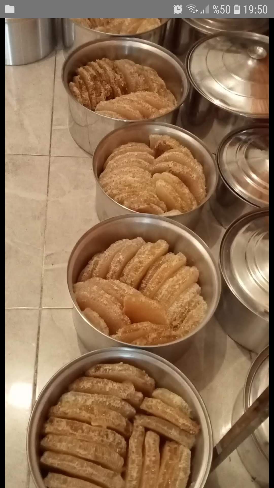 Saklı Arıcılık