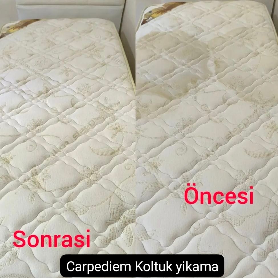 Carpediem Koltuk Yıkama