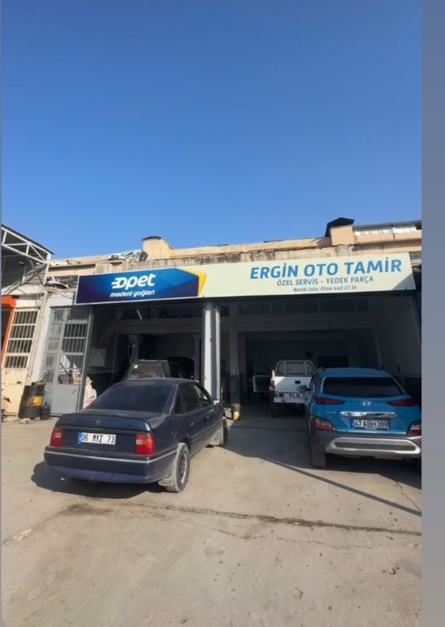 Ergin Oto Tamir