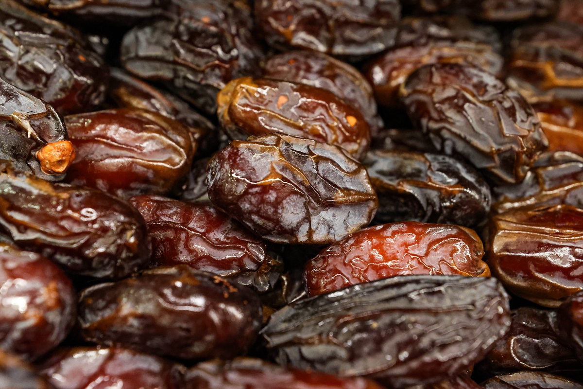 Hurma Sarayı
