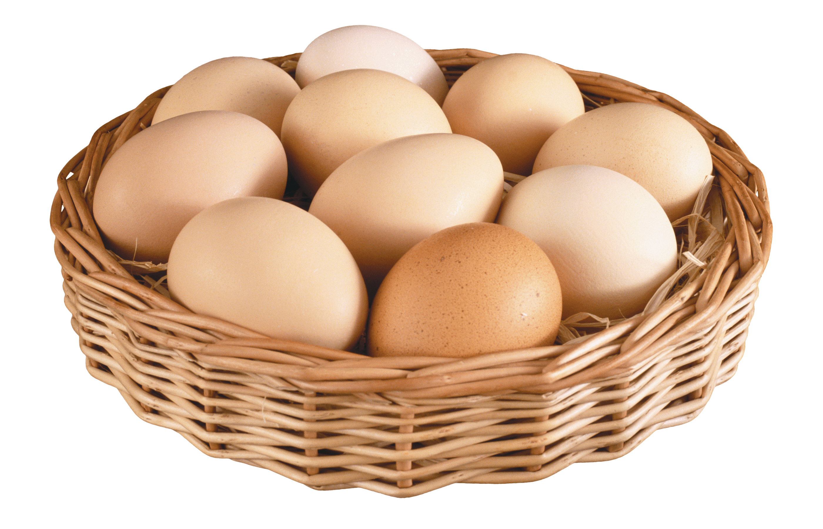 İnegöl Gezen Tavuk Köy Yumurtası