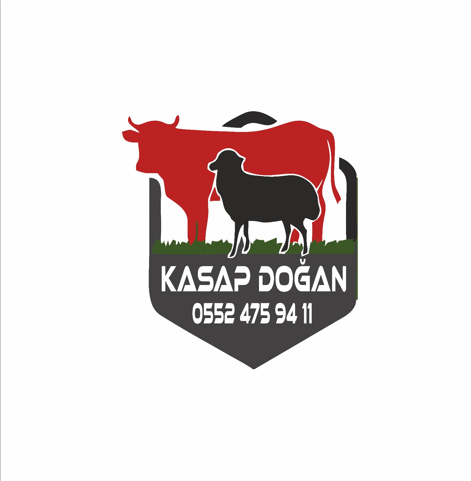 Kasap Doğan