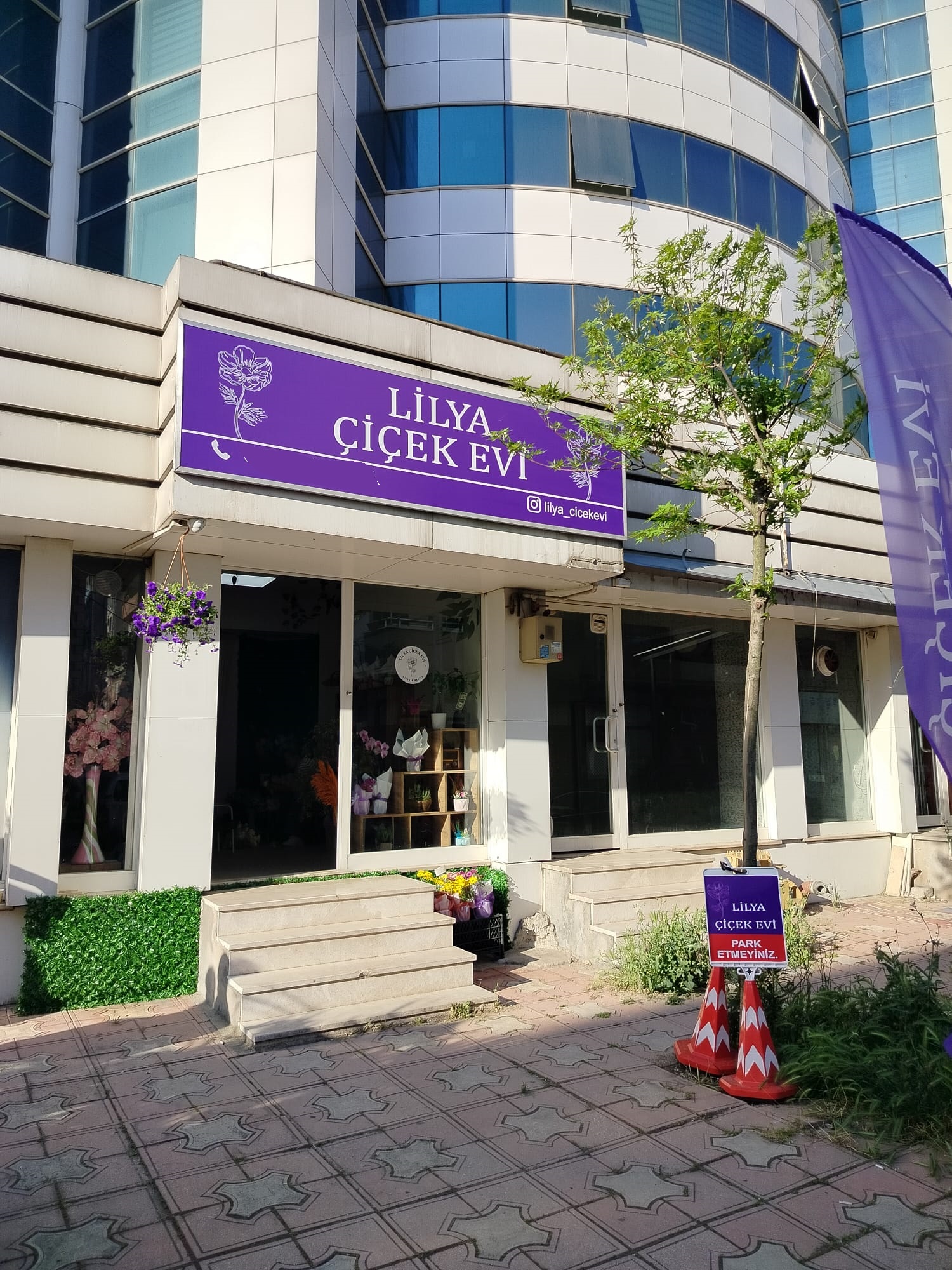 Lilya Çiçek Evi