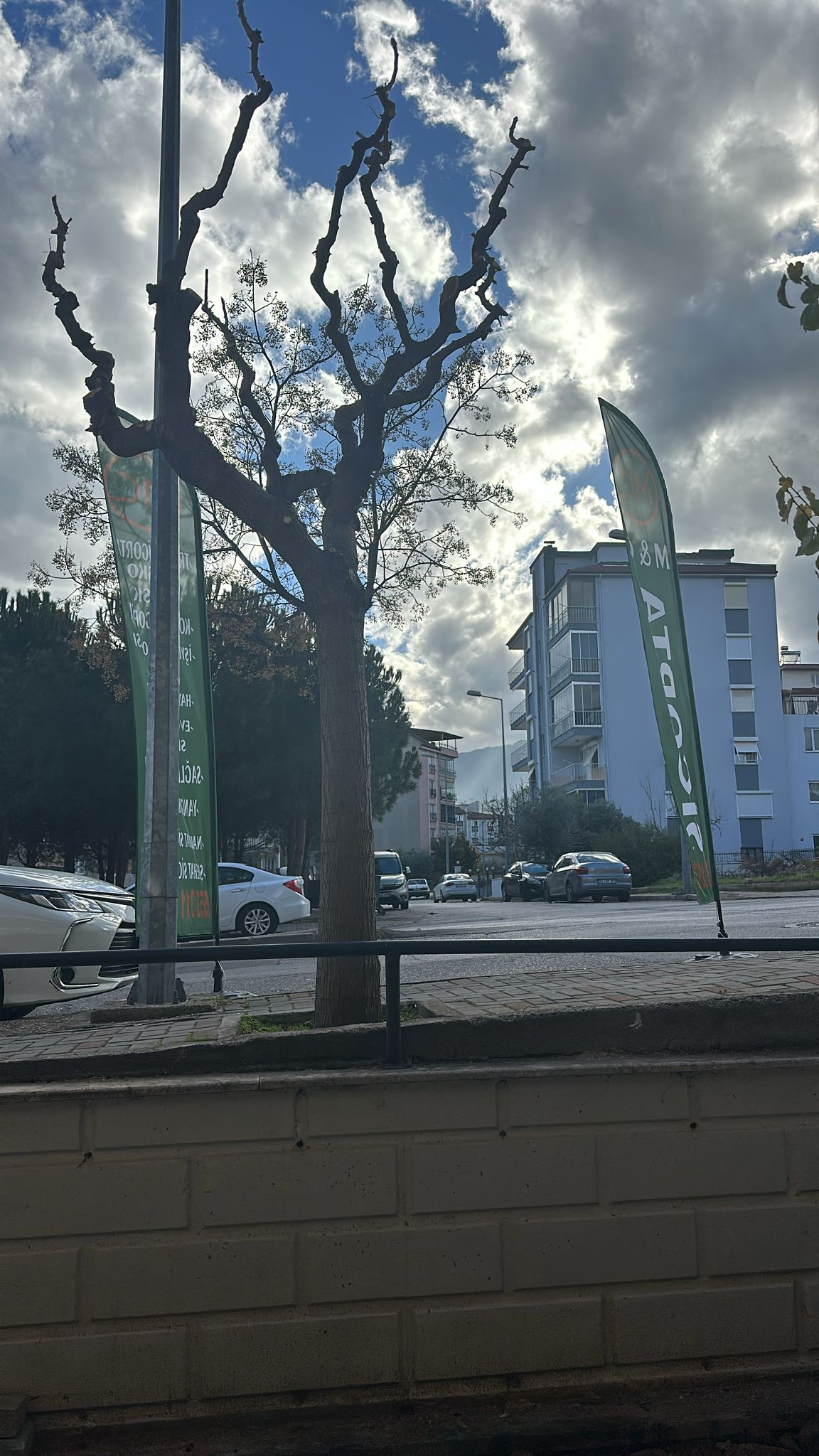 M Ç Sigorta 