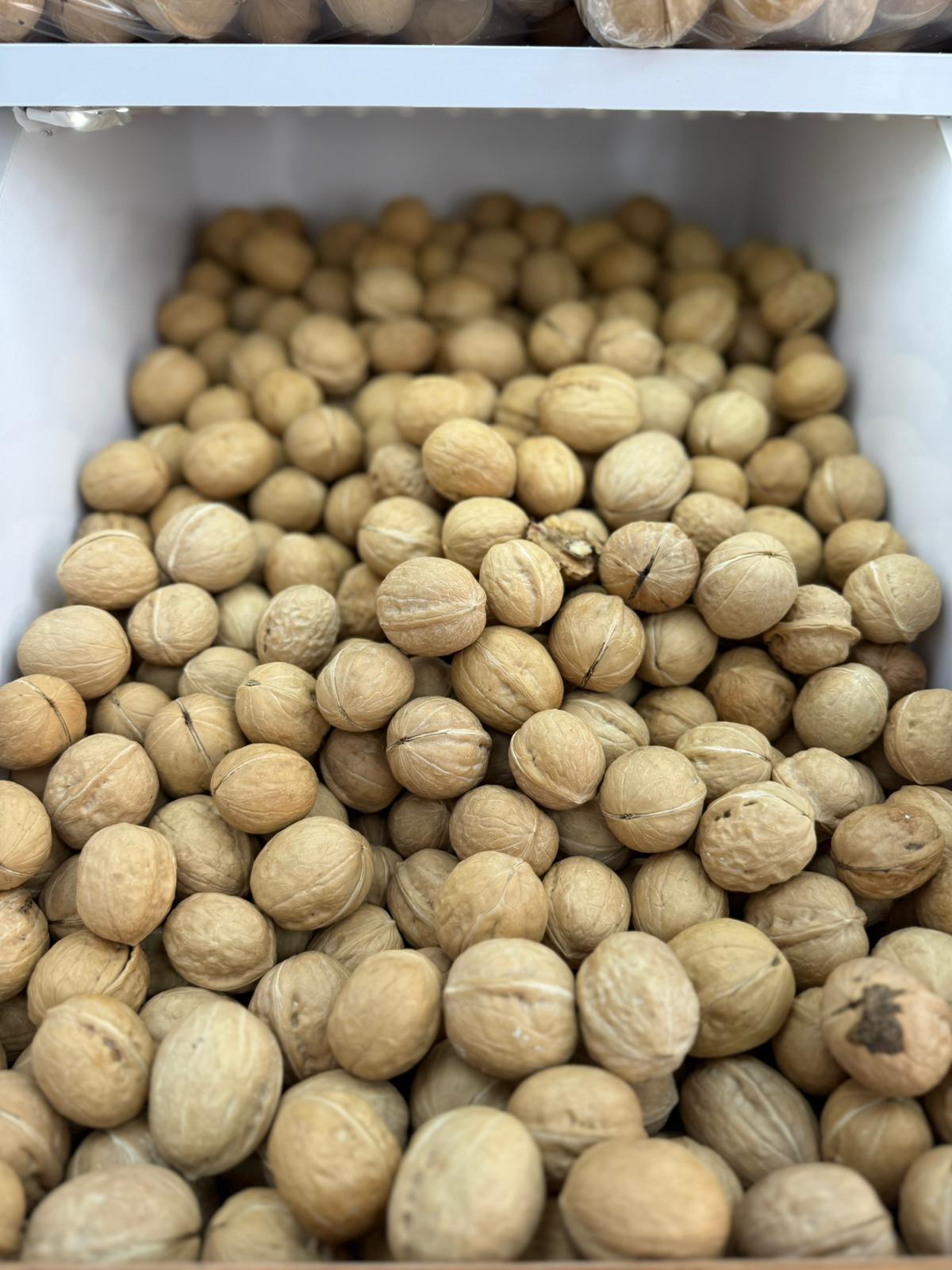 Bereket Şire Dünyası 