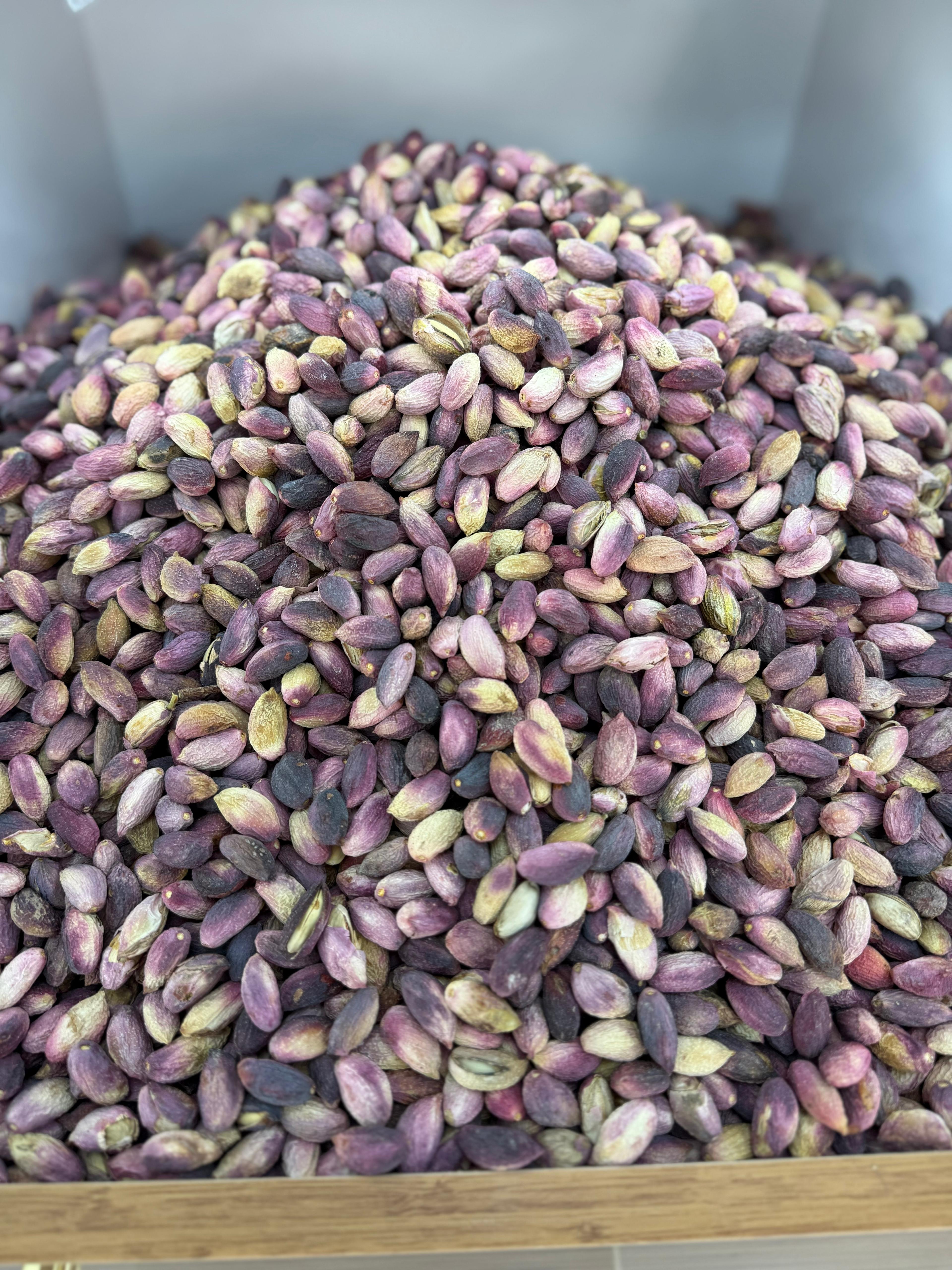 Bereket Şire Dünyası 