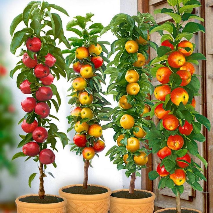 Çelik Taş Çevre Düzenleme