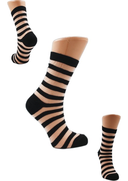 Sarıçelik Toptan & Perakende 