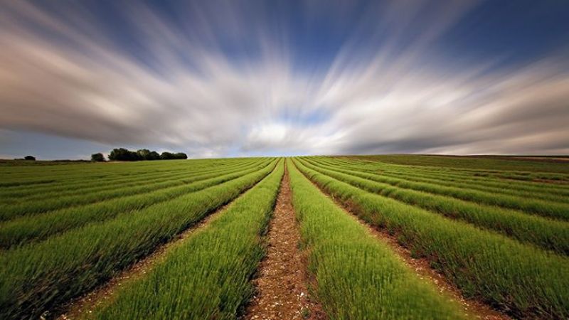 Ulu Kardeşler Her Türlü Bağ ve Bahçe Tarla İşleri