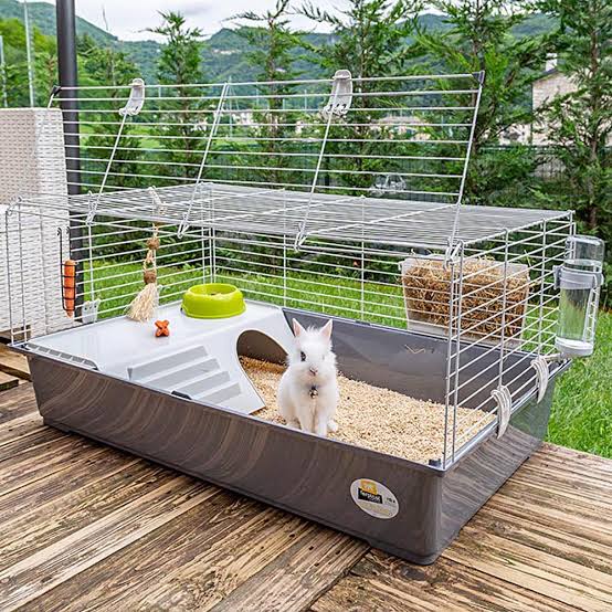 Ali Baba Pet Shop