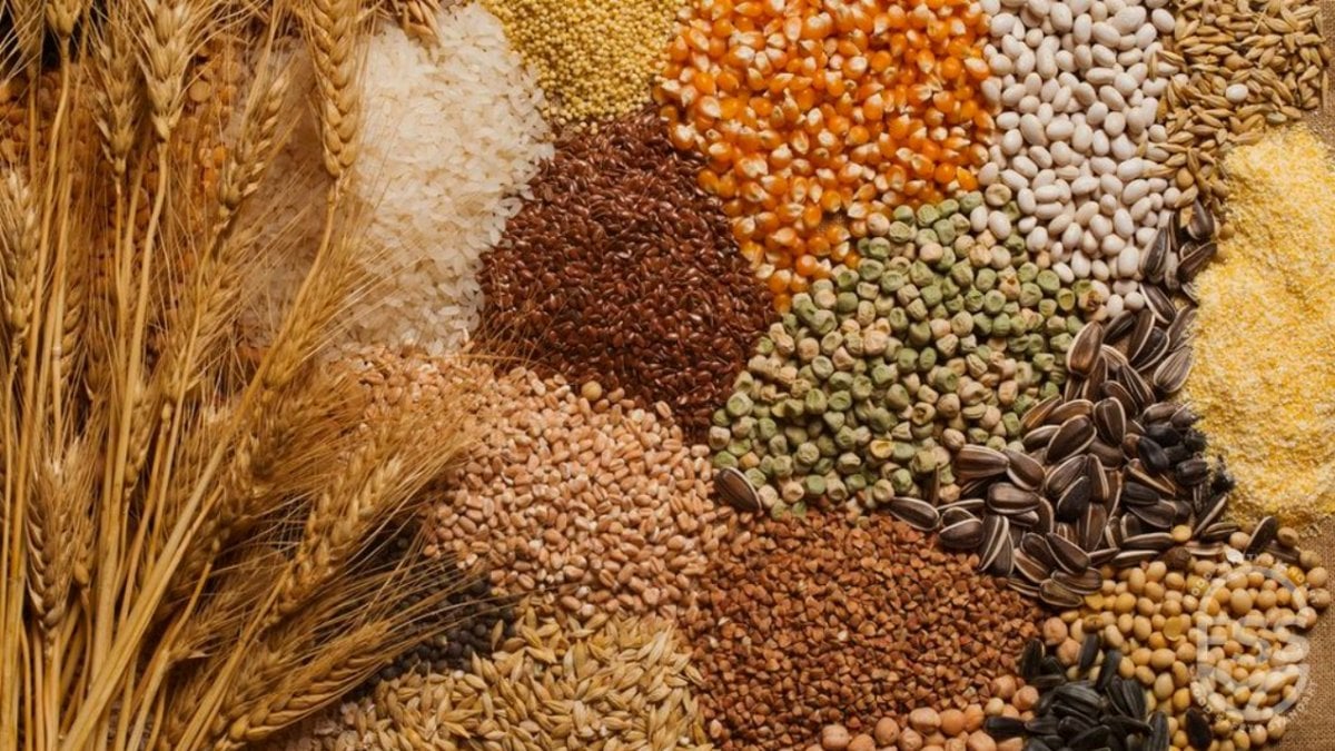 Talaşlıoğulları Akaryakıt Hububat