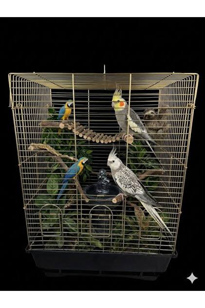 Ali Baba Pet Shop