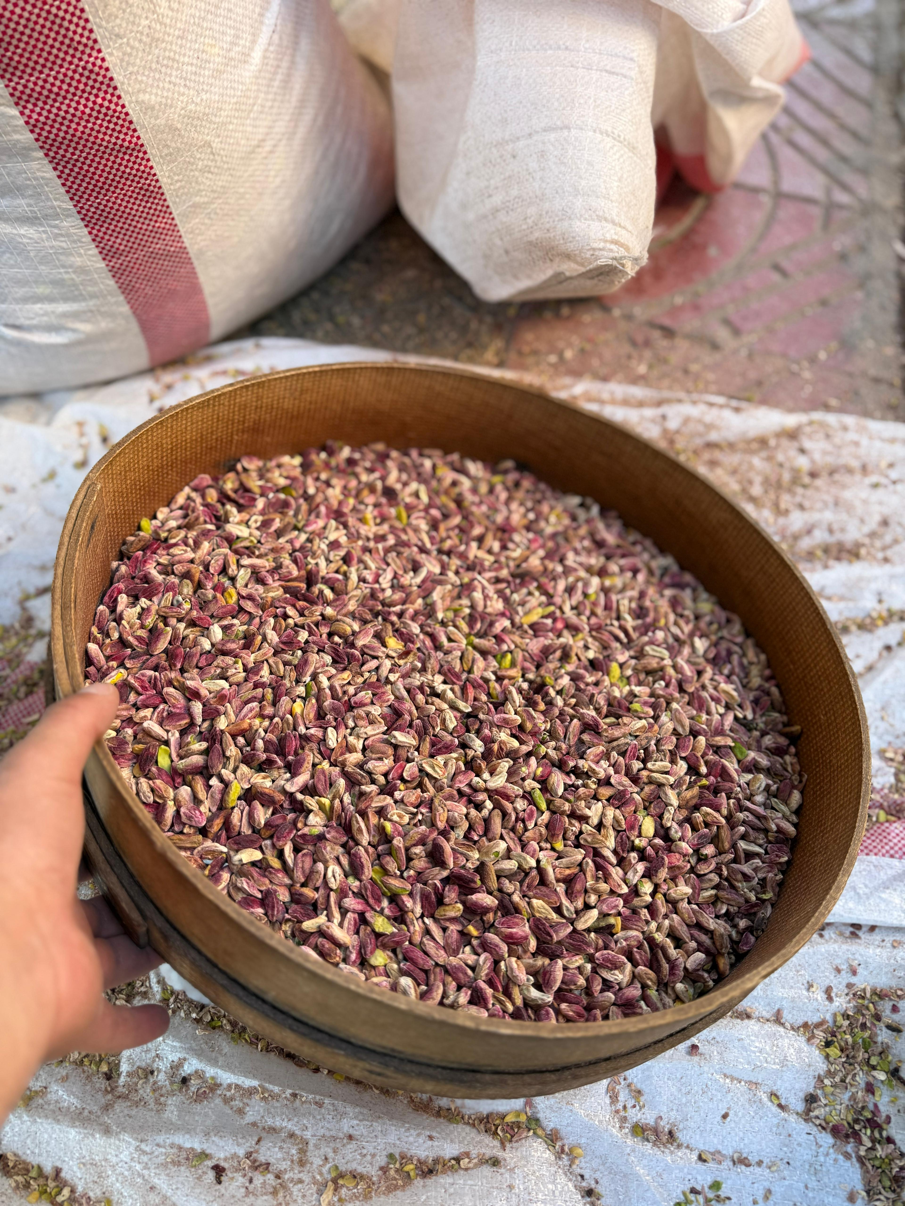 Bereket Şire Dünyası 