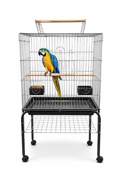 Ali Baba Pet Shop