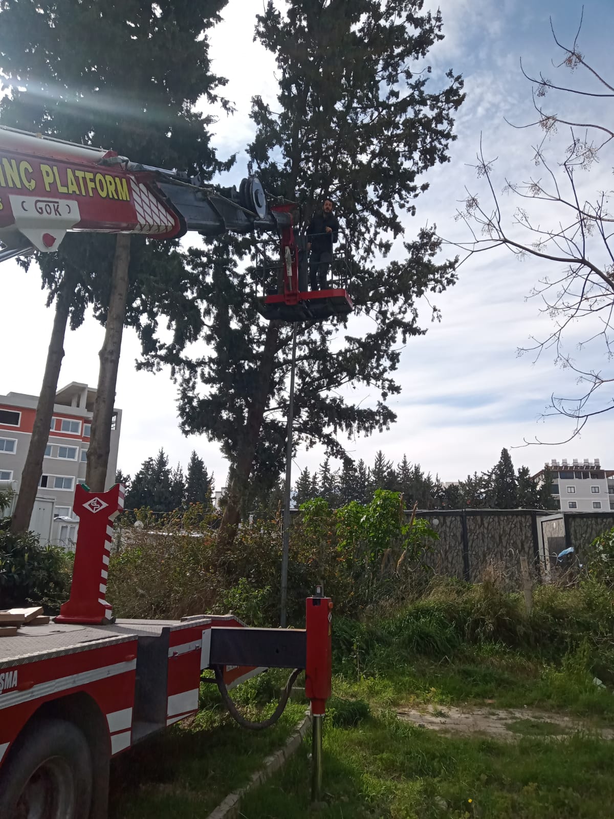 Öksüz Vinç Platform