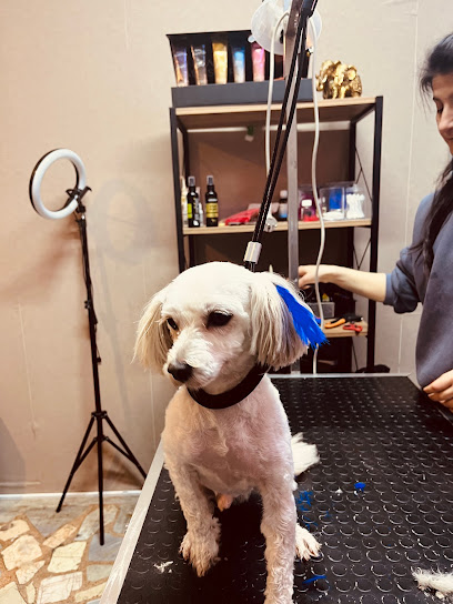 Patica Pet Kuaför