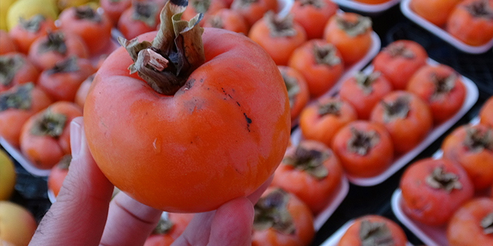 Özalp Tarım Ürünleri