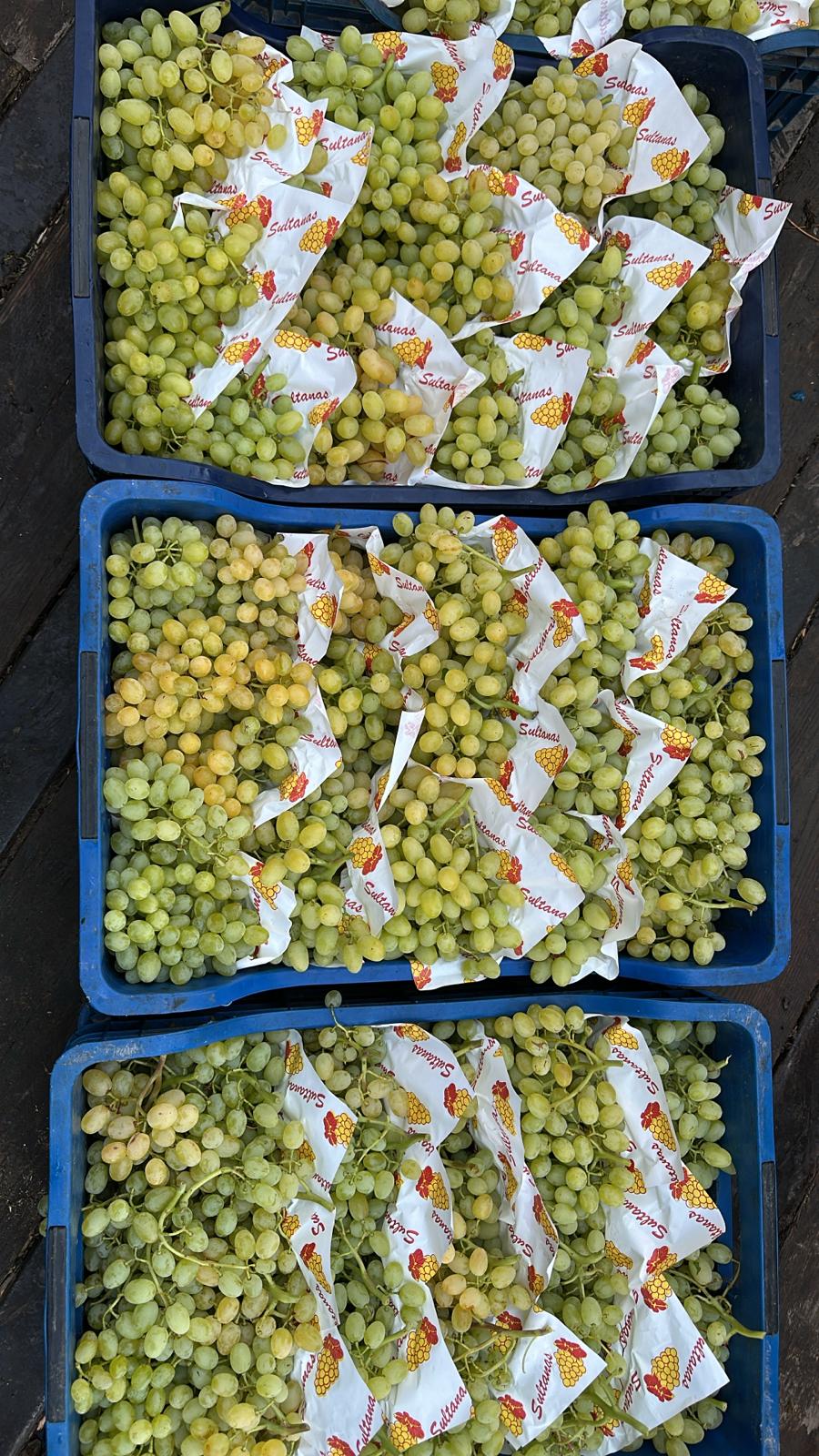 Kardeşler Nakliyat Ambarı