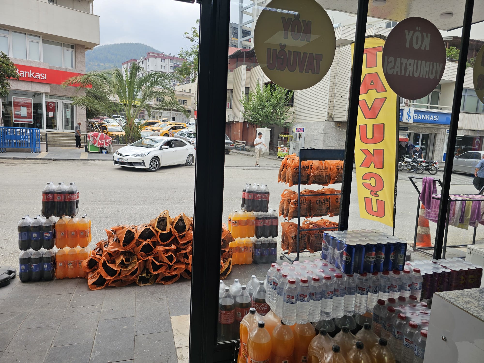 Tavukçum Beyza Piliç