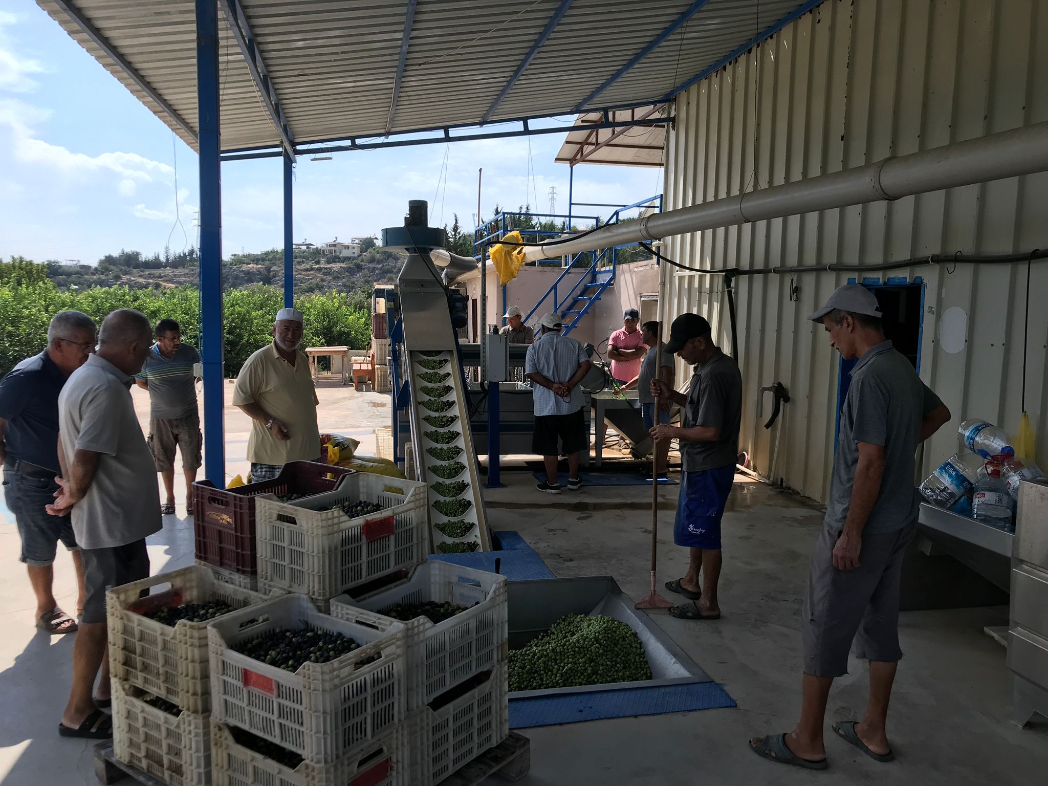 Söylemez Zeytincilik