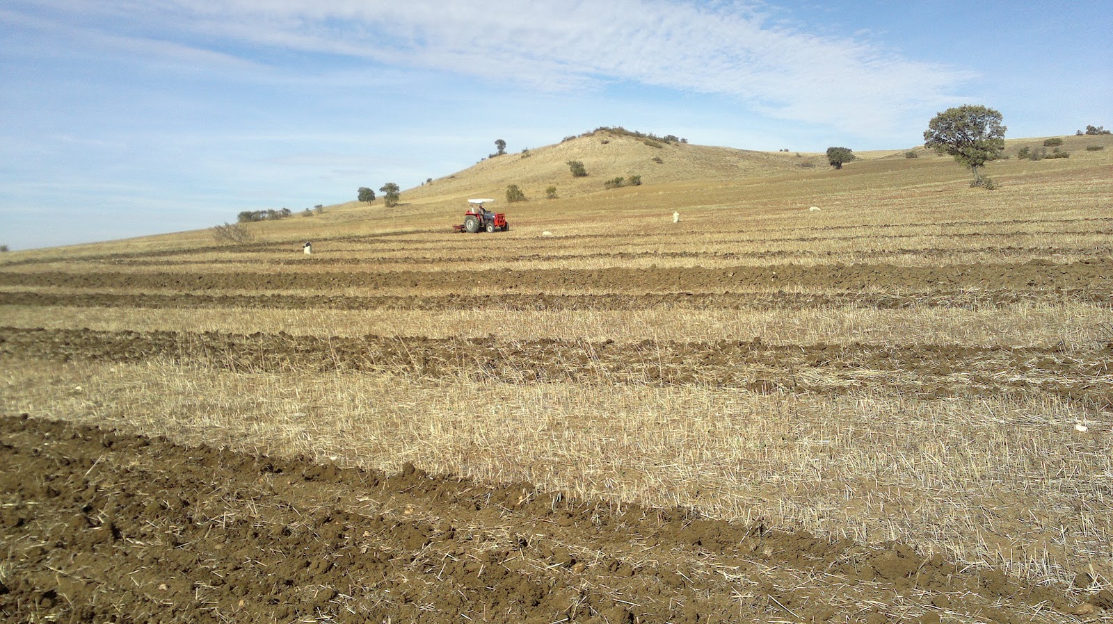 Ulu Kardeşler Her Türlü Bağ ve Bahçe Tarla İşleri