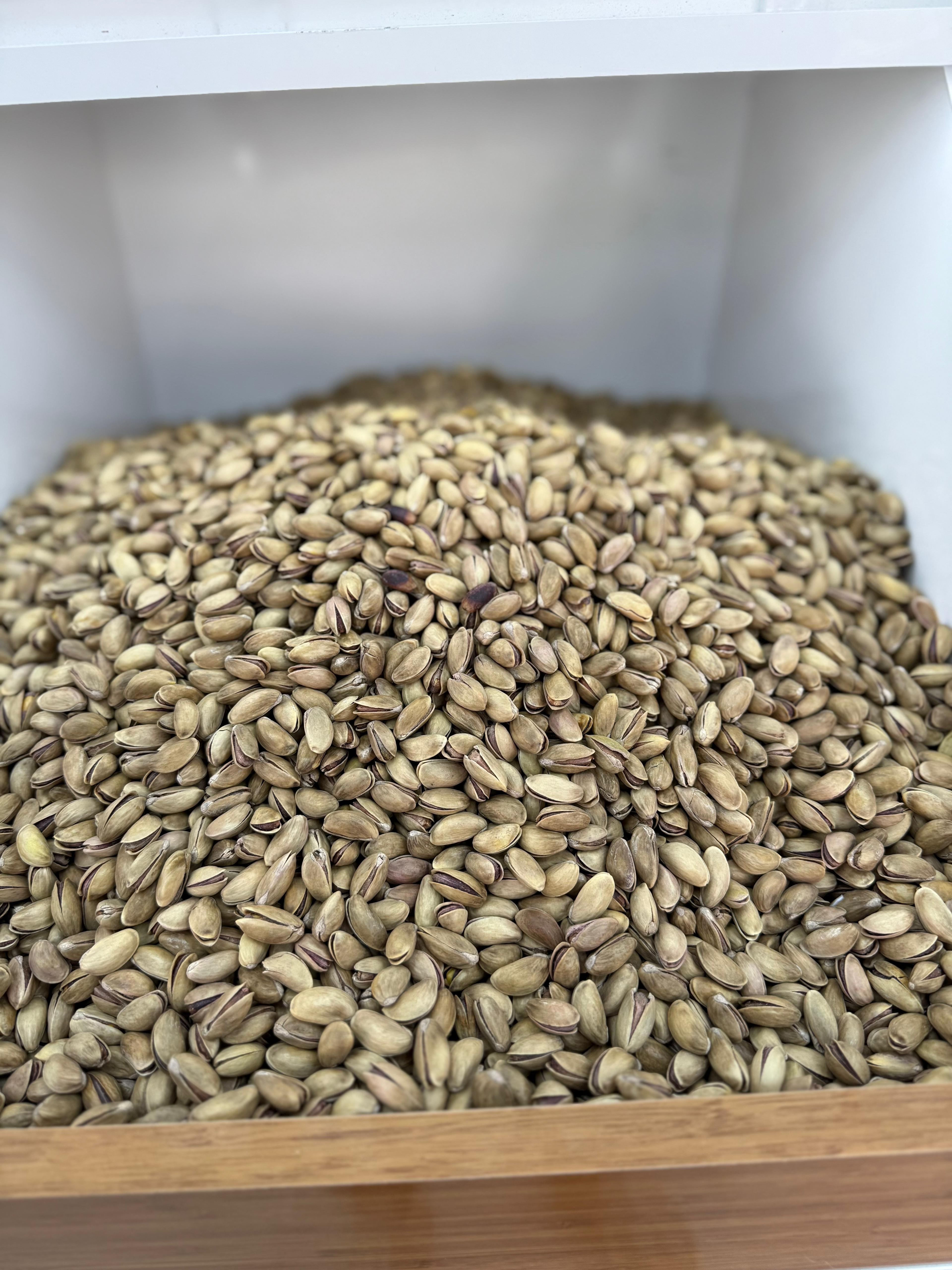 Bereket Şire Dünyası 