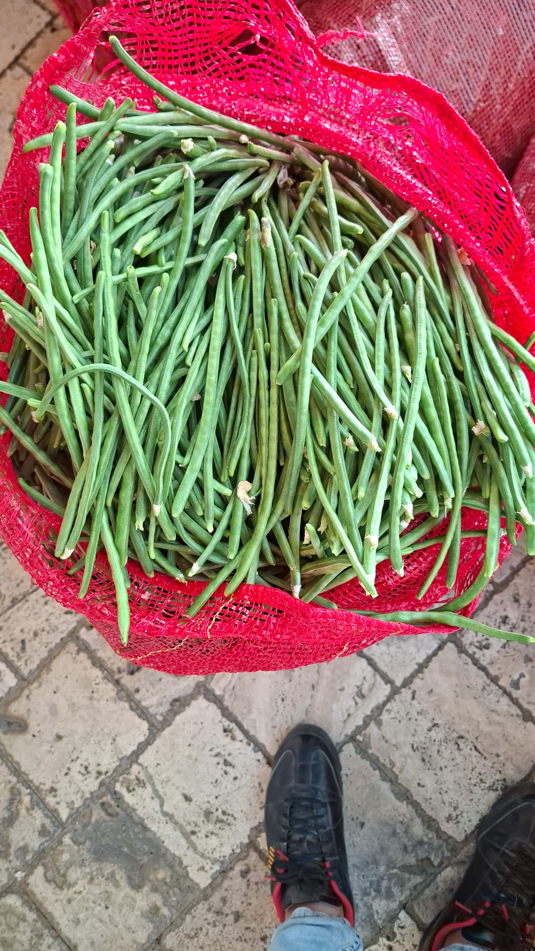 Kardeşler Nakliyat Ambarı