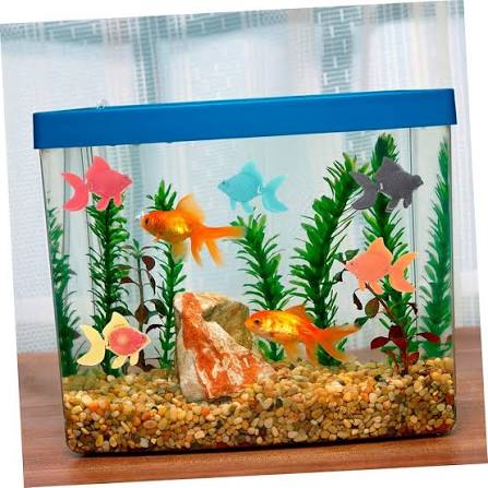 Ali Baba Pet Shop