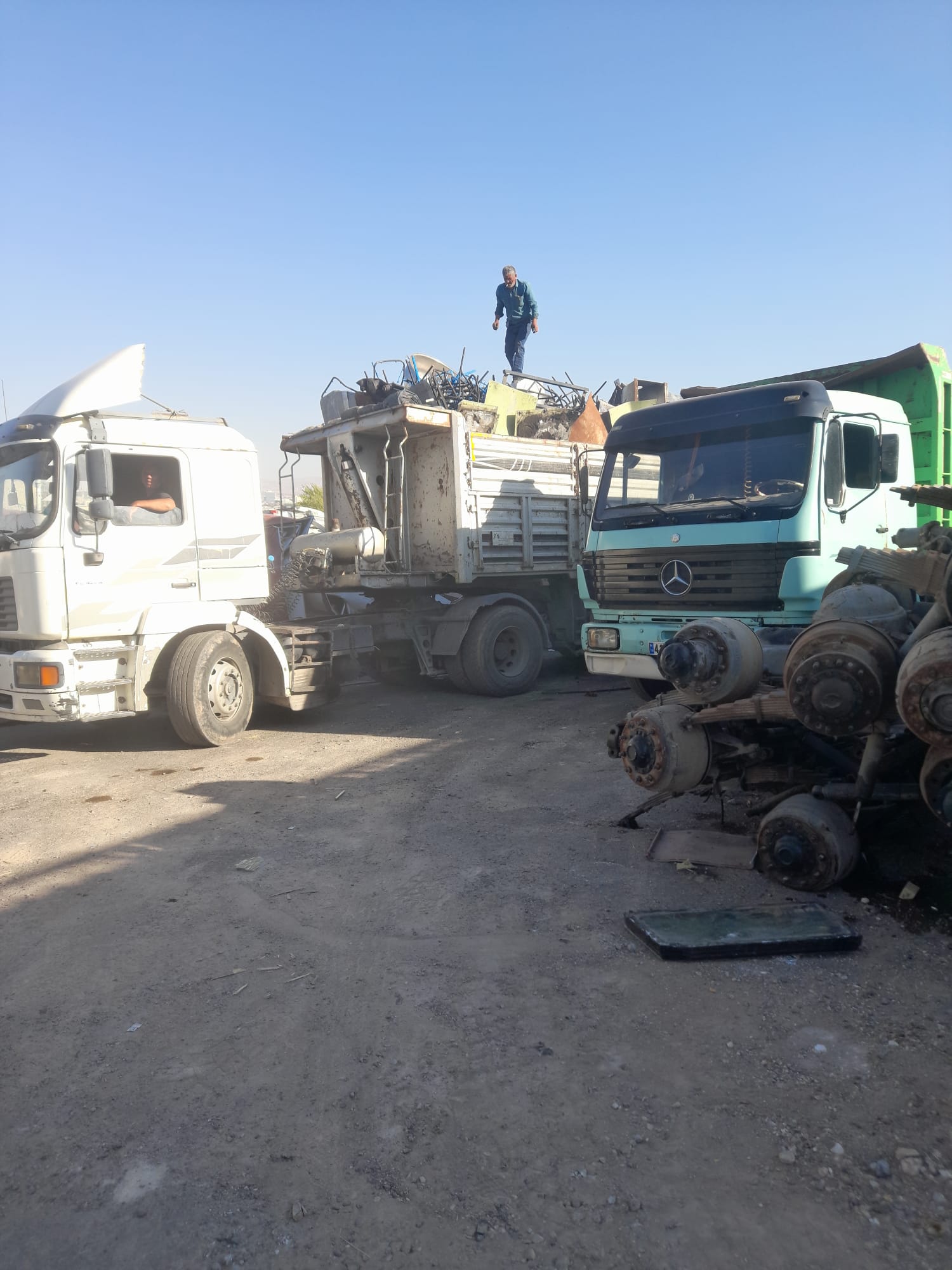 Kiralık Polim Ahtapot