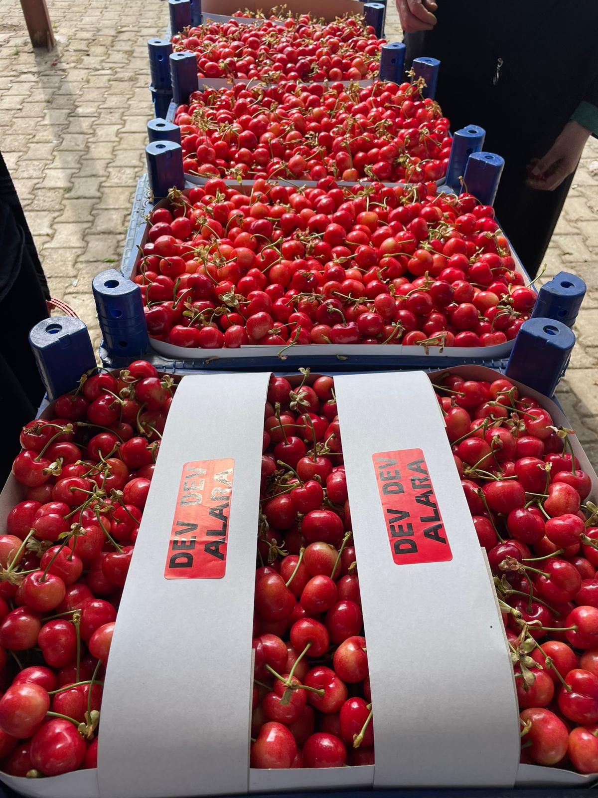 Kardeşler Nakliyat Ambarı