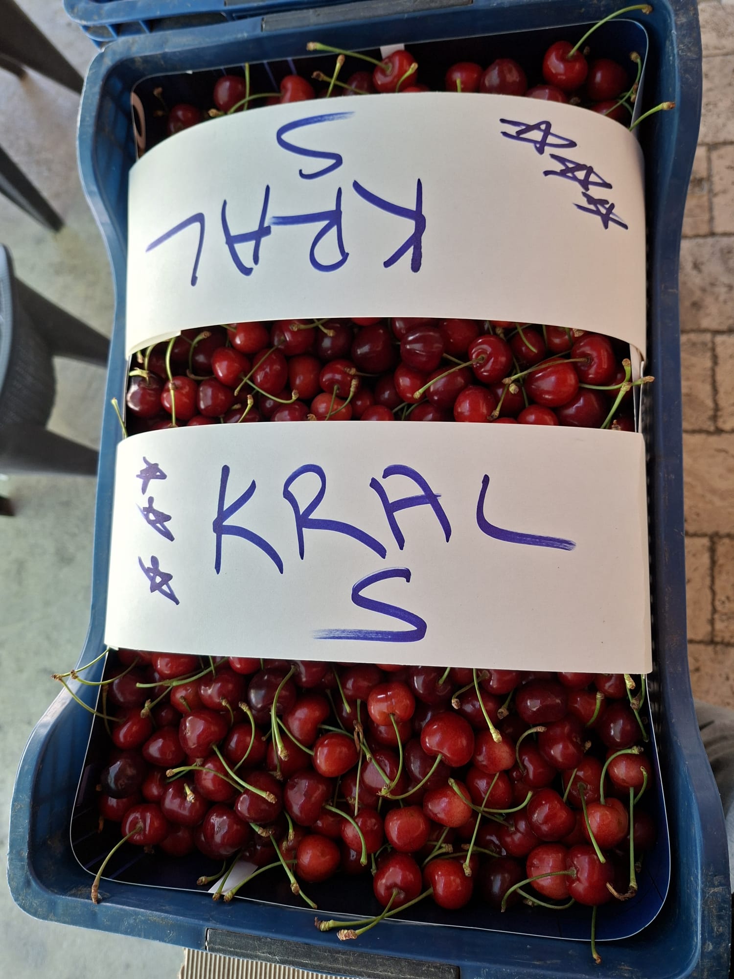 Kardeşler Nakliyat Ambarı