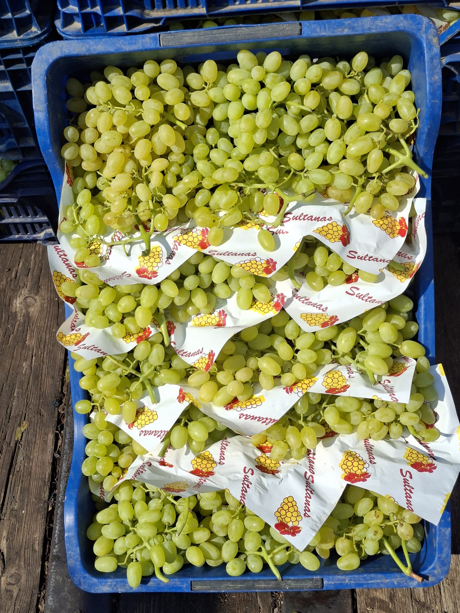 Kardeşler Nakliyat Ambarı