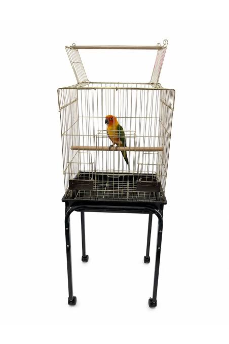 Ali Baba Pet Shop