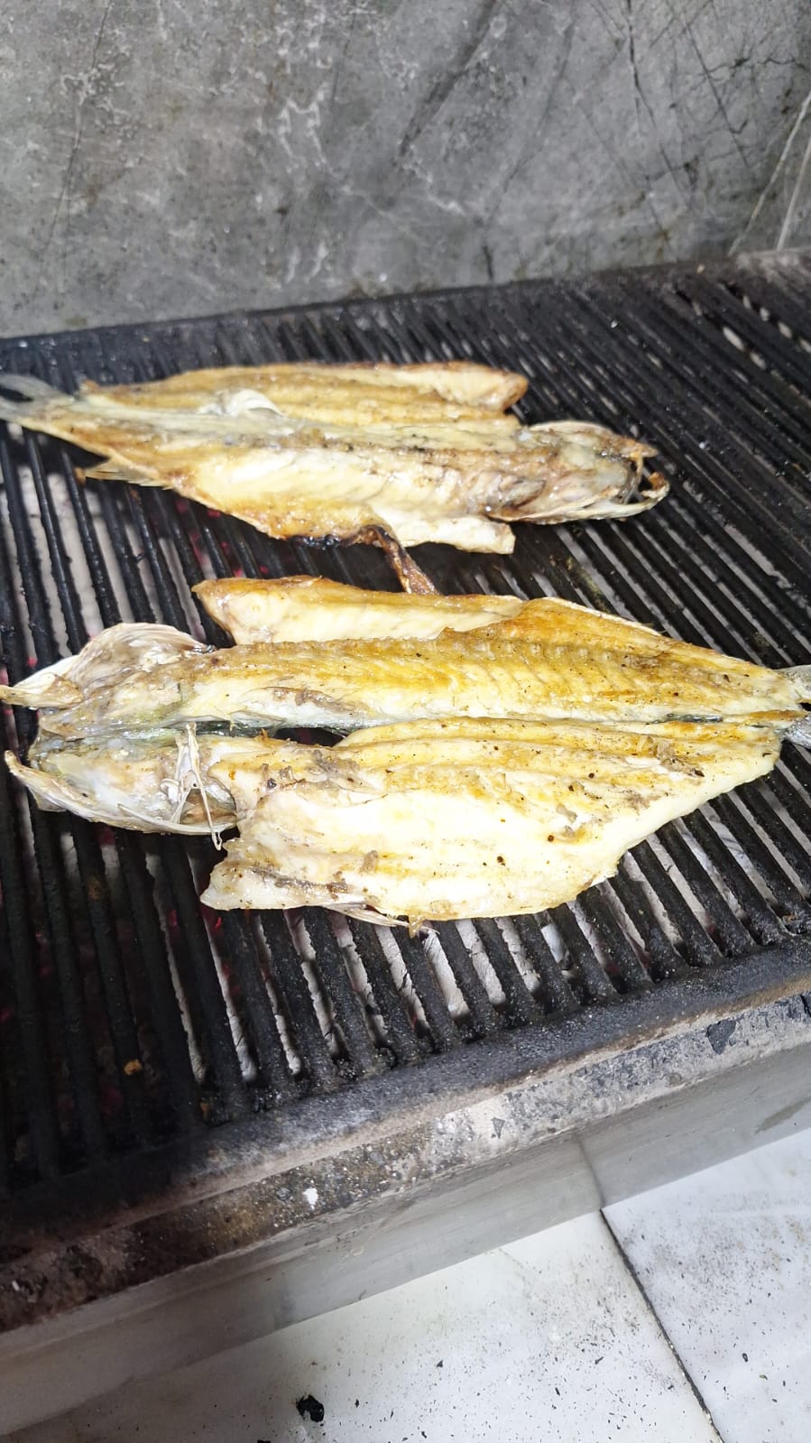 Kayapa Balıkçısı