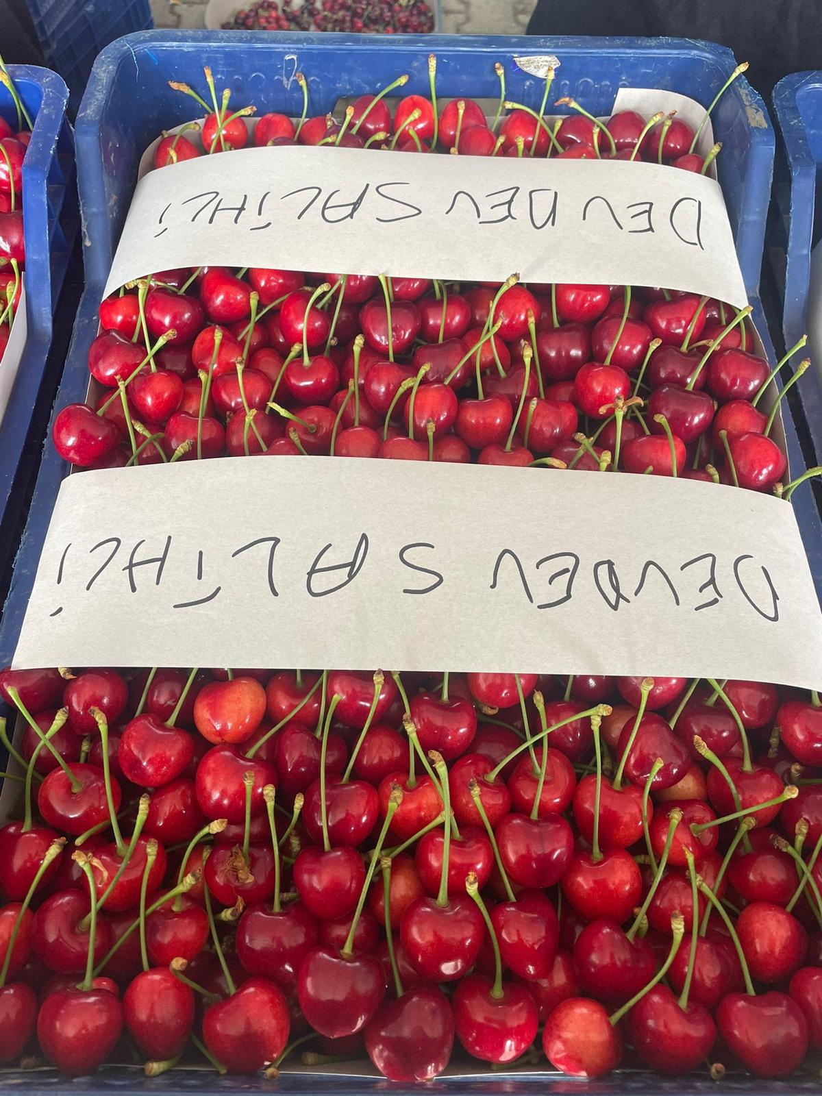 Kardeşler Nakliyat Ambarı