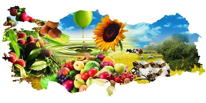 Bozdağı Tarım Ürüneri Tic. Ltd. Şti.