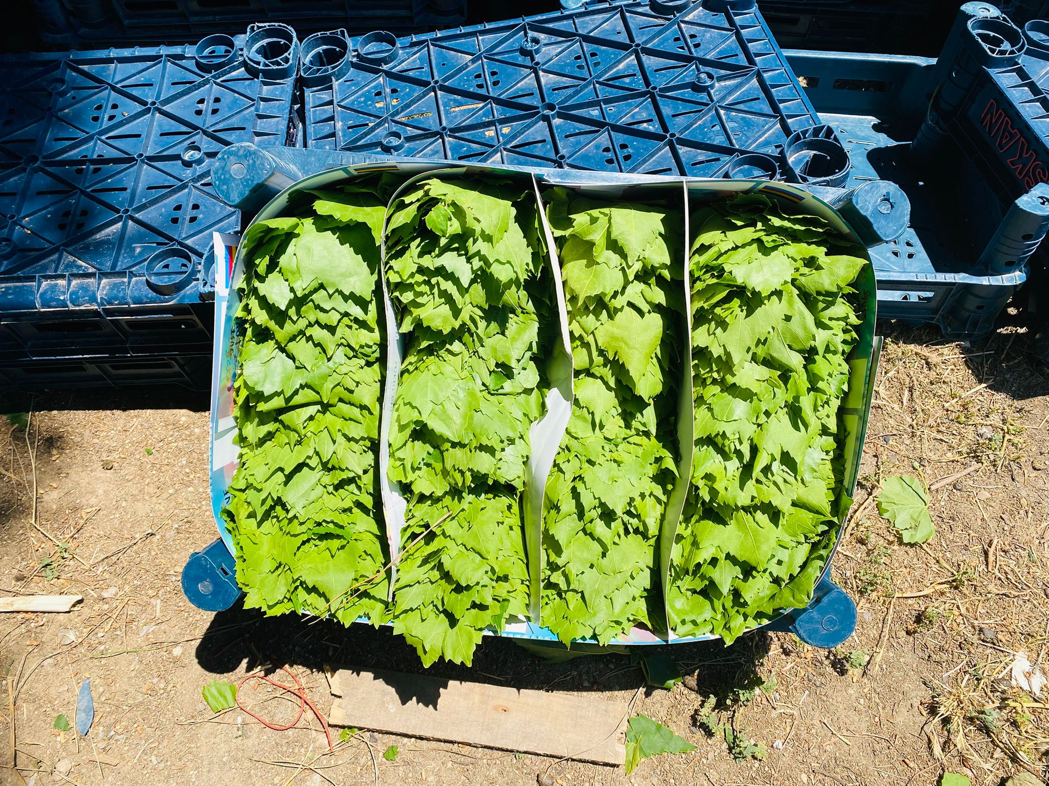 Kardeşler Nakliyat Ambarı