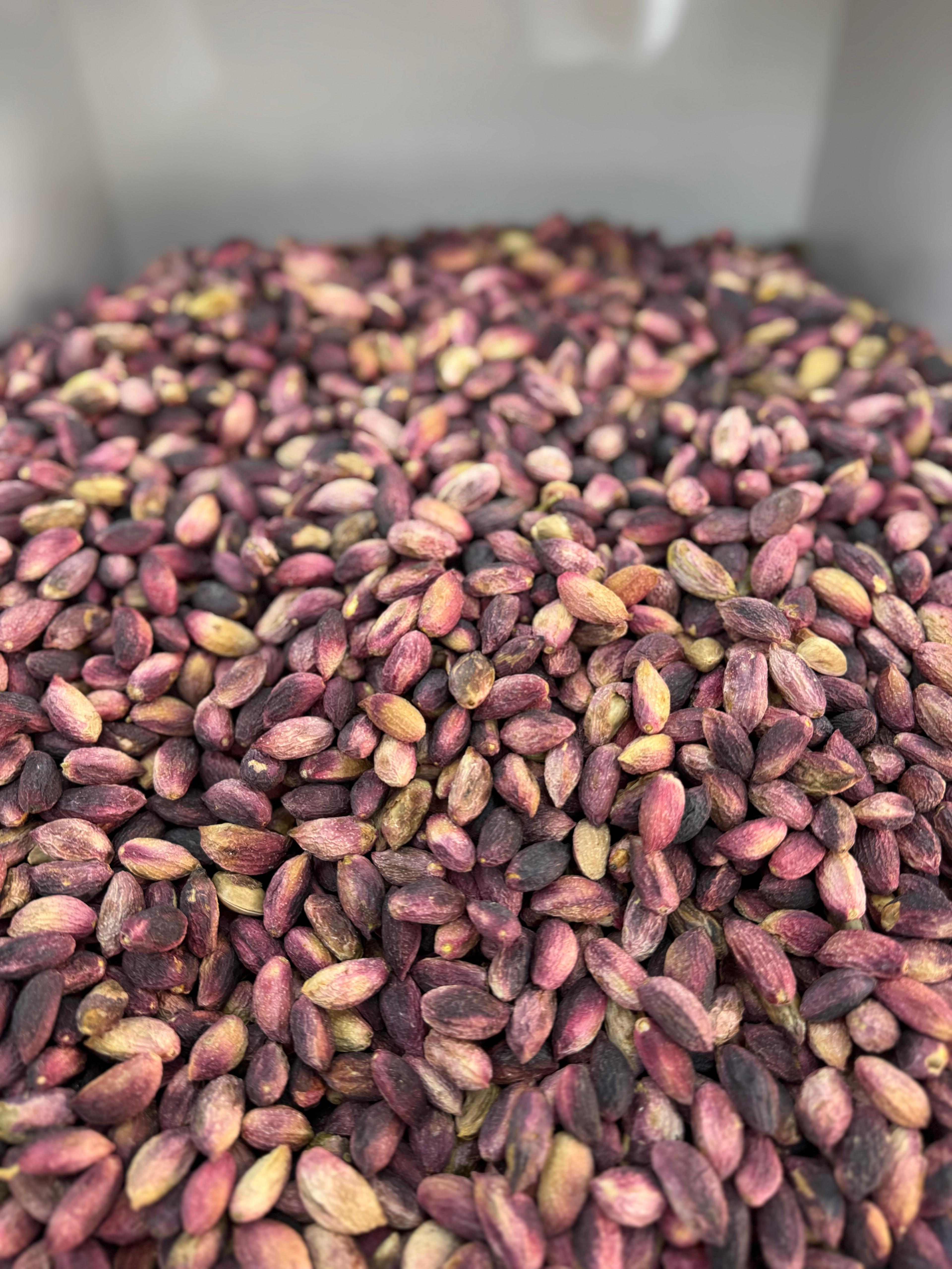 Bereket Şire Dünyası 