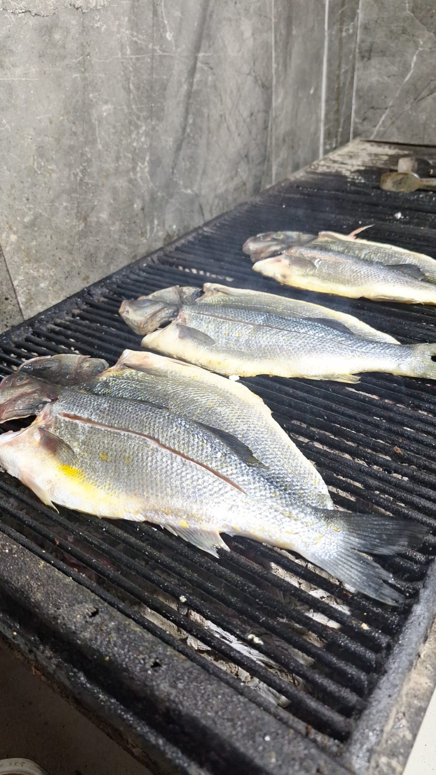 Kayapa Balıkçısı