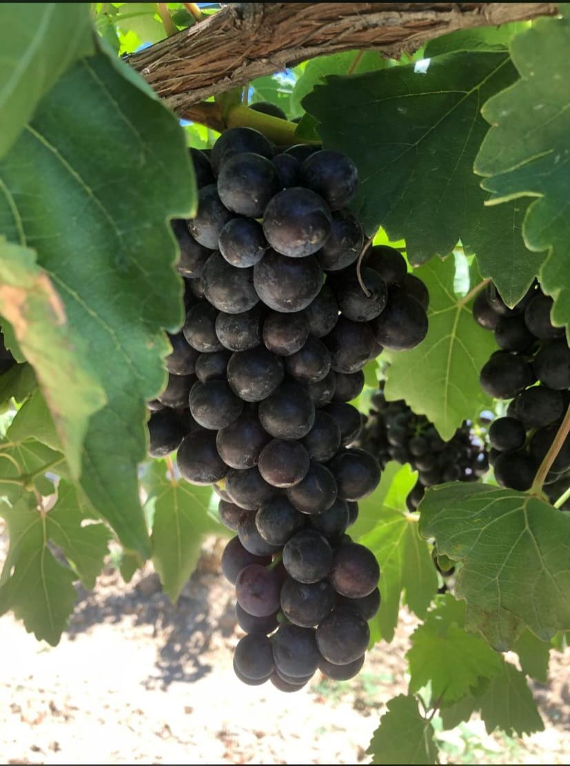 Kardeşler Nakliyat Ambarı