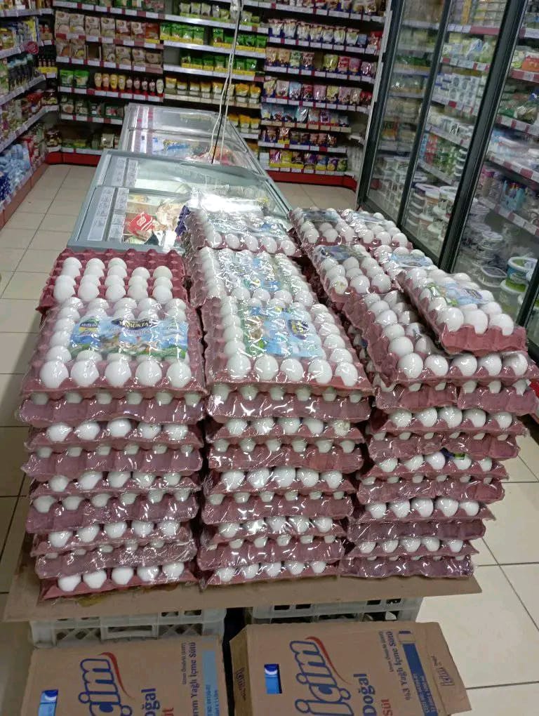 Manavgat Yumurta 