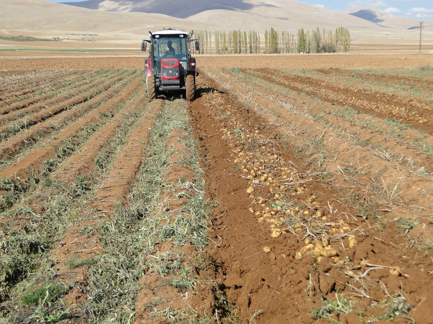 Ulu Kardeşler Her Türlü Bağ ve Bahçe Tarla İşleri