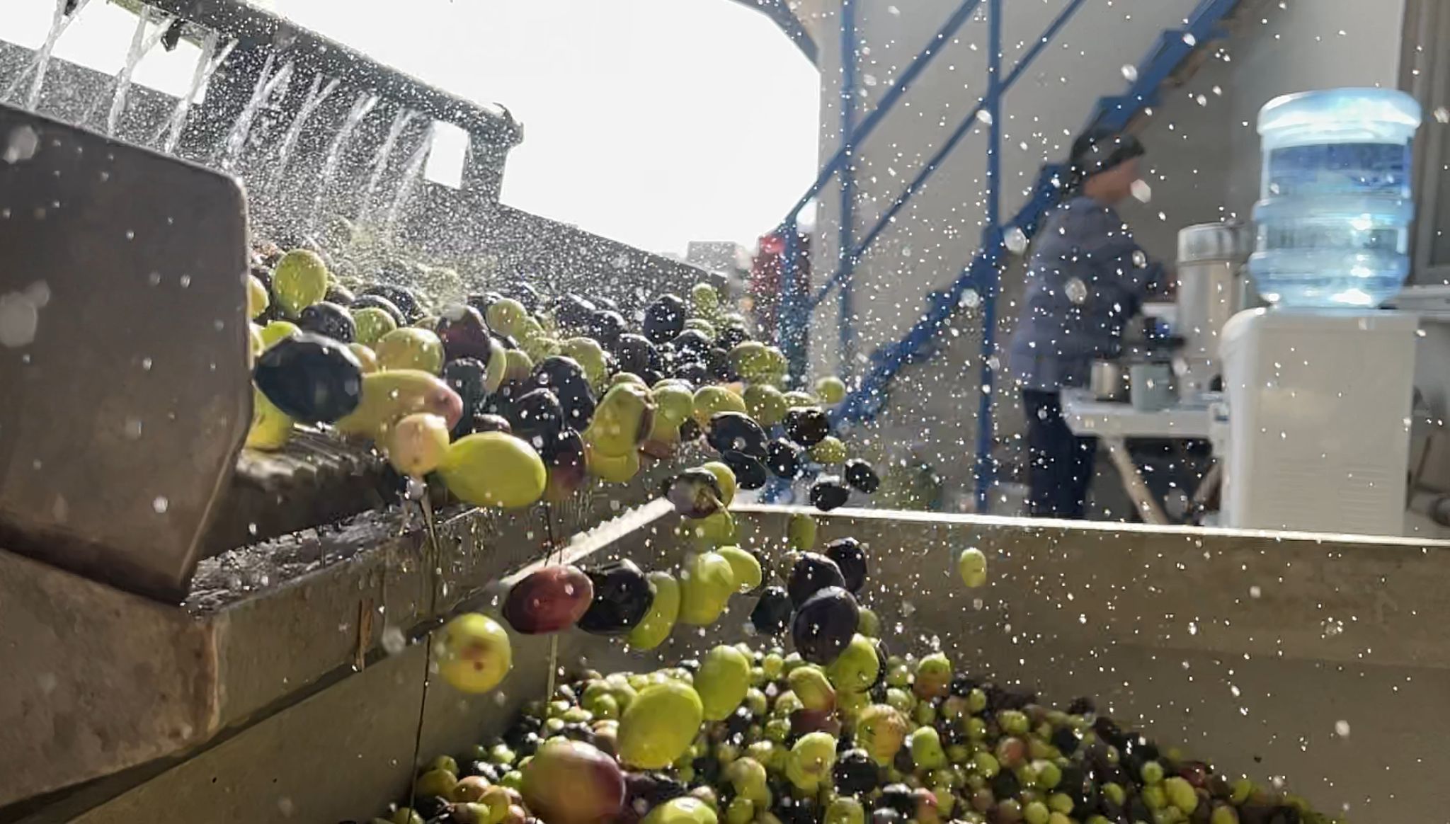 Defne Yöresel Ürünler