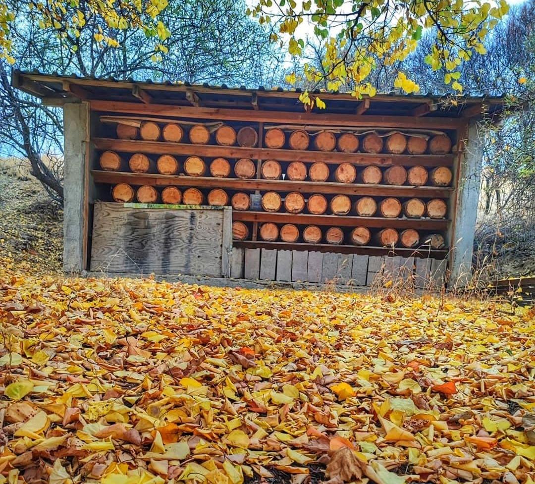 Karataş Arıcılık Bal Arı Üretim