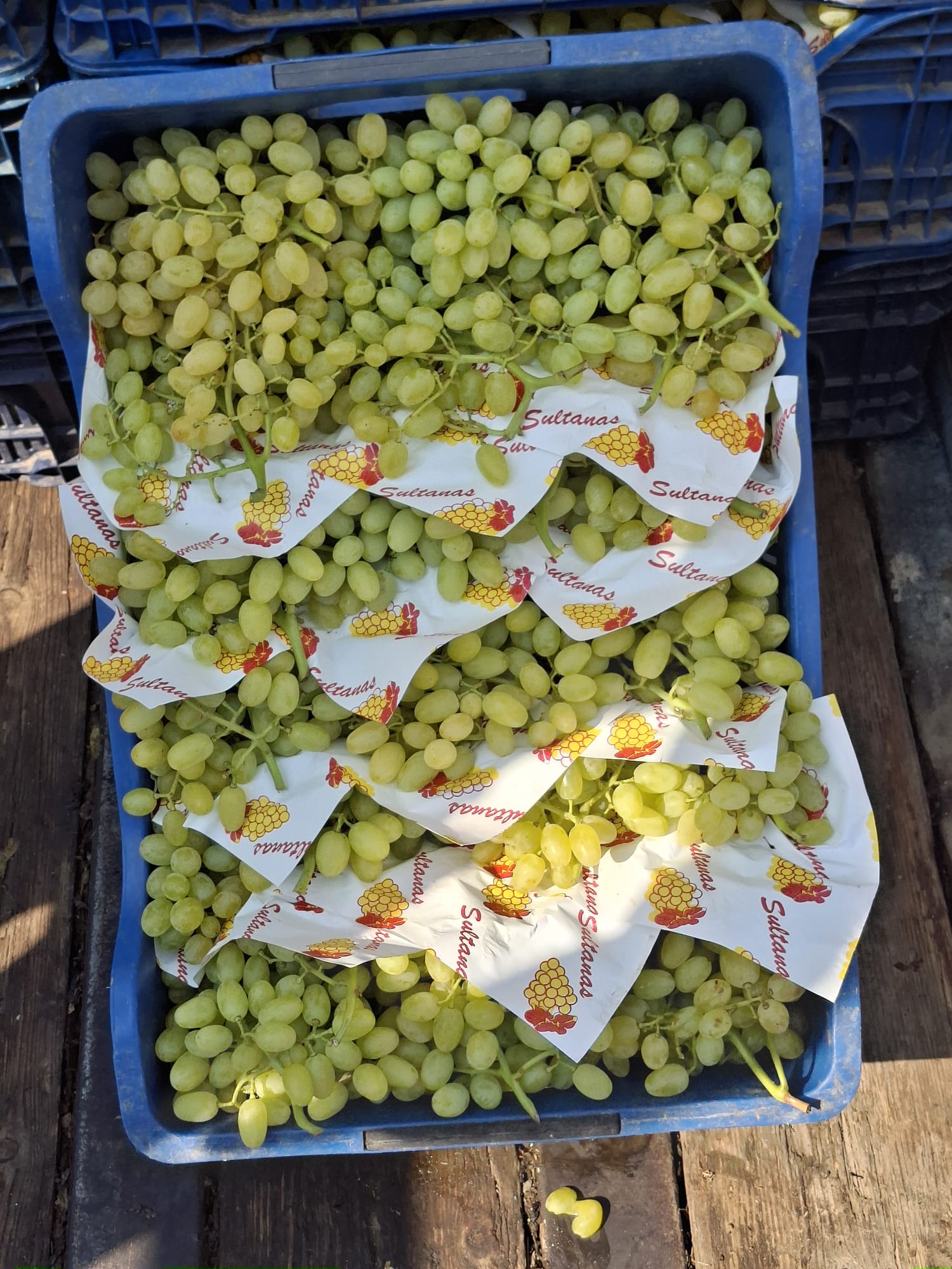 Kardeşler Nakliyat Ambarı