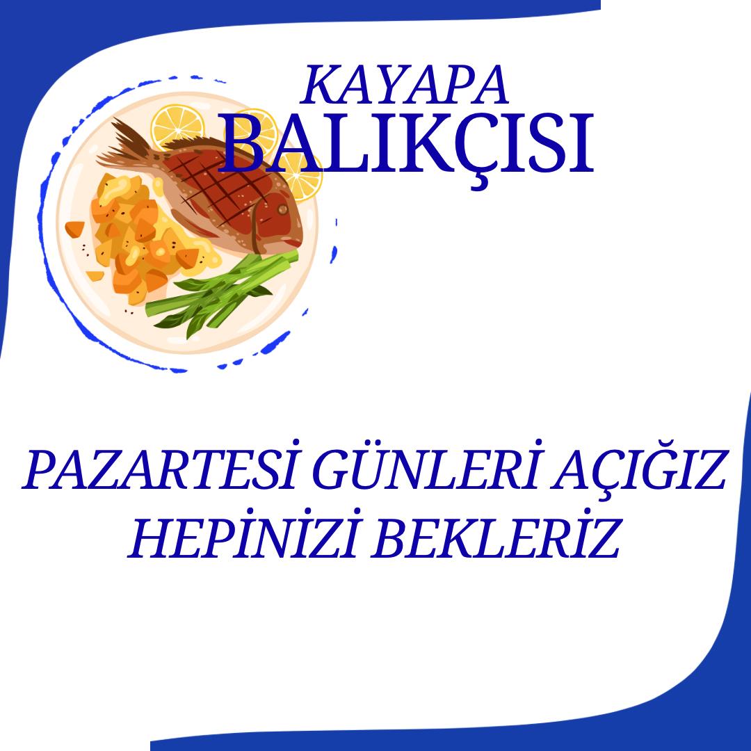 Kayapa Balıkçısı