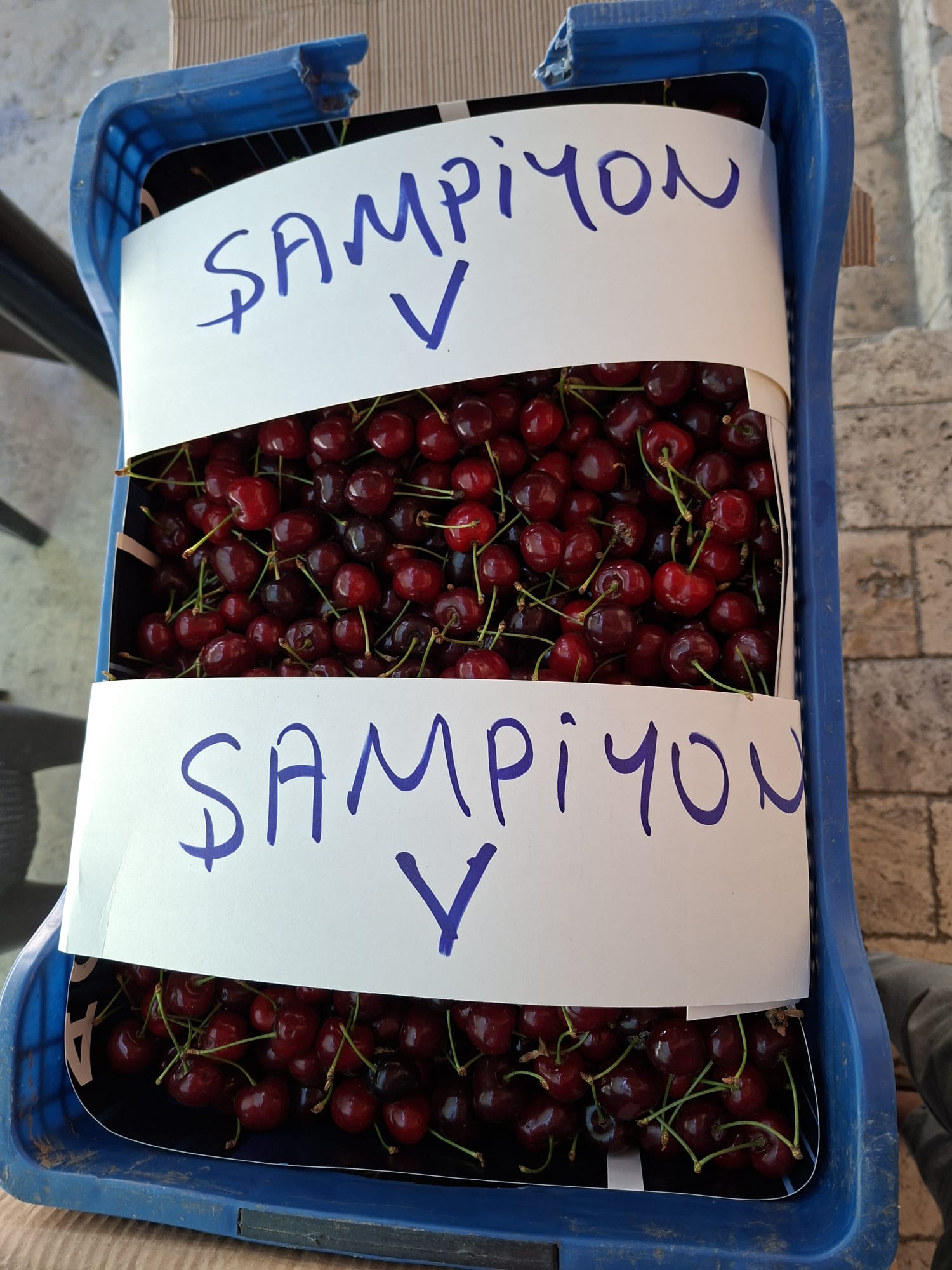 Kardeşler Nakliyat Ambarı