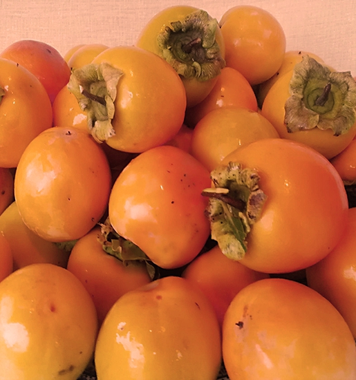 Özalp Tarım Ürünleri