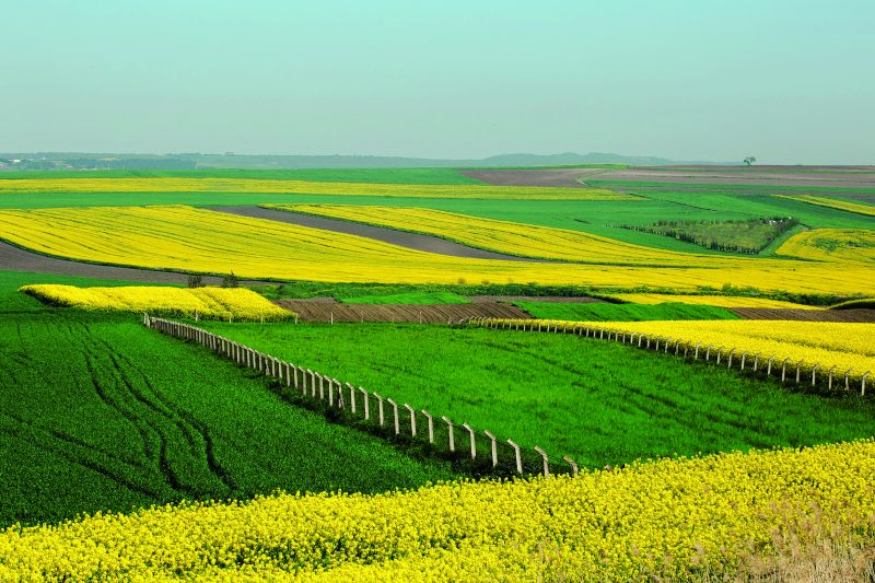 Ulu Kardeşler Her Türlü Bağ ve Bahçe Tarla İşleri