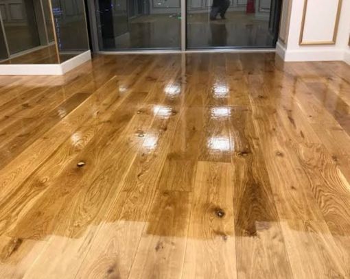 Sistre Cila Bakım Merkezi